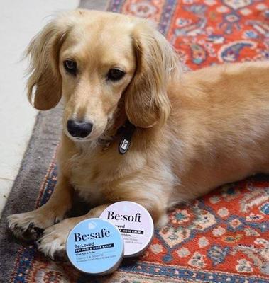 Show full view: Be:Loved Be:Soft Soothe & Nourish Dog & Cat Paw & Nose Balm, 2.11-oz jar slide 4 of 4