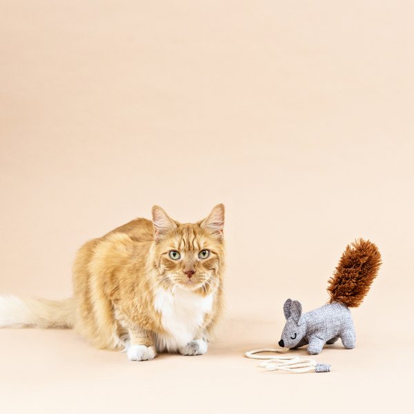 Fringe Studio One Tuff Nut Teaser Cat Toy