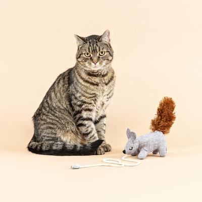 Show full view: Fringe Studio One Tuff Nut Teaser Cat Toy slide 4 of 5