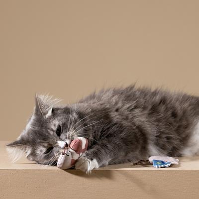 Show full view: Fringe Studio Catch Me If You Can Cat Toy, Multi, Set of 3 slide 4 of 4