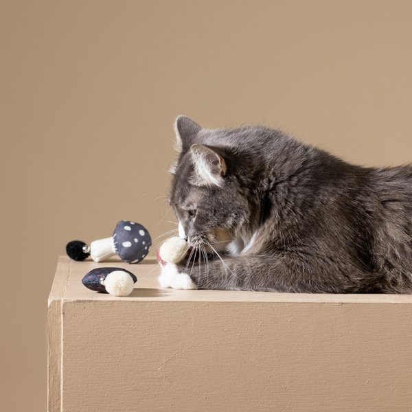Fringe Studio Forest Finds Cat Toy, Multi, Set of 3
