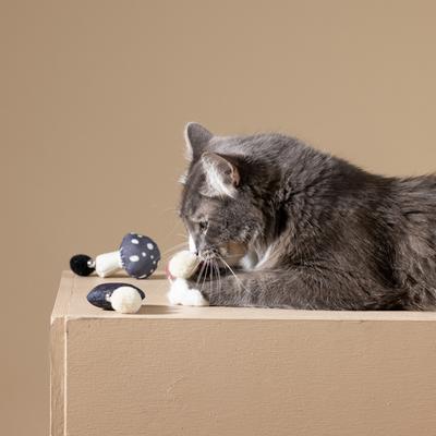 Show full view: Fringe Studio Forest Finds Cat Toy, Multi, Set of 3 slide 5 of 5