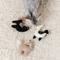 Show in main carousel: Fringe Studio Llamas Just Say Cat Toy, Multi, Set of 3 slide 2 of 2
