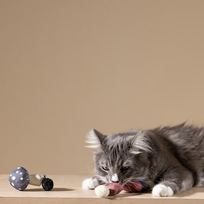 Show full view: Fringe Studio Forest Finds Cat Toy, Multi, Set of 3 slide 4 of 5