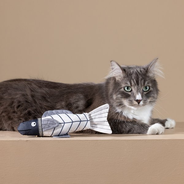 Fringe Studio Something's Fishy Kicker Cat Toy, Multi