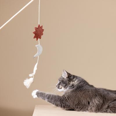 Show full view: Fringe Studio Happy Skies Teaser Cat Toy, Multi slide 4 of 4