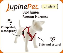 LupinePet Waterproof BioThane Adjustable Dog Harness, Neon Orange, X-Large: 36 to 44-in chest slide 2 of 6
