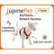 Show in main carousel: LupinePet Waterproof BioThane Adjustable Dog Harness, Neon Orange, Medium: 20 to 32-in chest slide 3 of 7