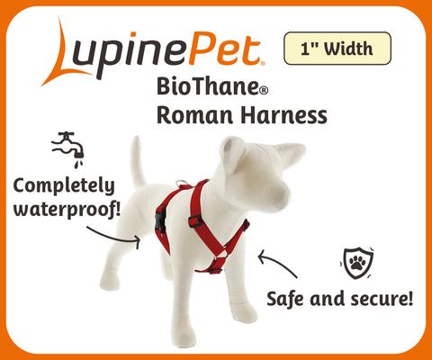 Show full view: LupinePet Waterproof BioThane Adjustable Dog Harness, Neon Orange, Medium: 20 to 32-in chest slide 3 of 7
