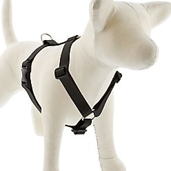 LupinePet Waterproof BioThane Adjustable Dog Harness, Jet Black, X-Large: 36 to 44-in chest
