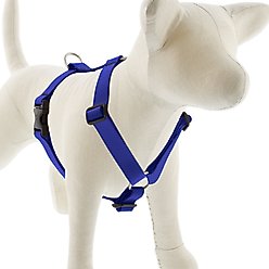 LupinePet Waterproof BioThane Adjustable Dog Harness, True Blue, Medium: 20 to 32-in chest
