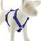 Show in main carousel: LupinePet Waterproof BioThane Adjustable Dog Harness, True Blue, X-Large: 36 to 44-in chest slide 1 of 7