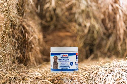 Show full view: Basic Animal Health GutHealth Probiotic Chew Supplement for Dogs, 10-oz slide 3 of 3