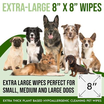 Show full view: Petazy Extra-Thick Deodorizing Dog Grooming Wipes, Lavender-Scented, 400 count slide 3 of 9
