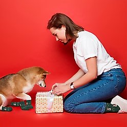 Furry Twinz Matching Pet & Owner Fun Socks, Light Bulb slide 2 of 3