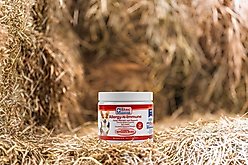 Basic Animal Health Allergy N Immune Chew Supplement for Dogs, 10-oz slide 2 of 2