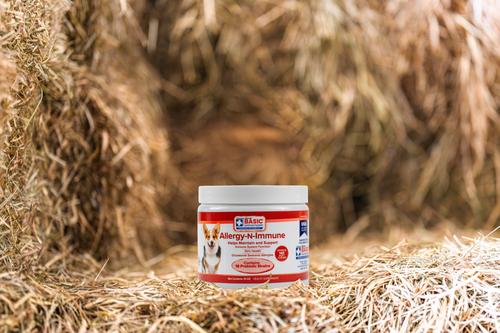 Show full view: Basic Animal Health Allergy N Immune Chew Supplement for Dogs, 10-oz slide 3 of 4