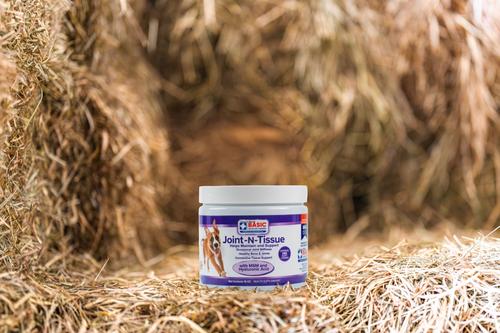 Show full view: Basic Animal Health Joint N Tissue Chew Joint Supplement for Dogs slide 3 of 4