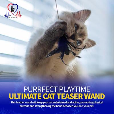 Show full view: Pet Fit For Life Cat Wands Toy, Medium slide 7 of 9