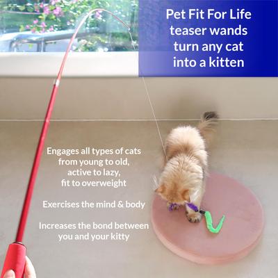 Show full view: Pet Fit For Life Cat Wands Toy, Medium slide 8 of 9
