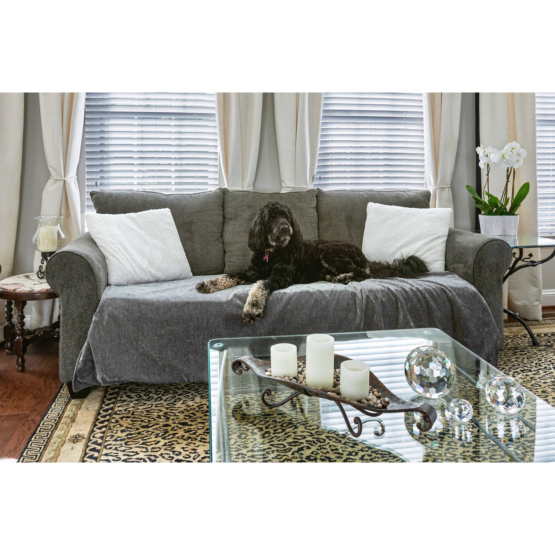 Magic Fabric Waterproof Odor Resistant Dog & Cat Furniture Cover, Stone, Large