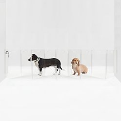 Hiddin Clear Wall Mounted Low Zig Zag Dog Gate, Silver, 10 panel
