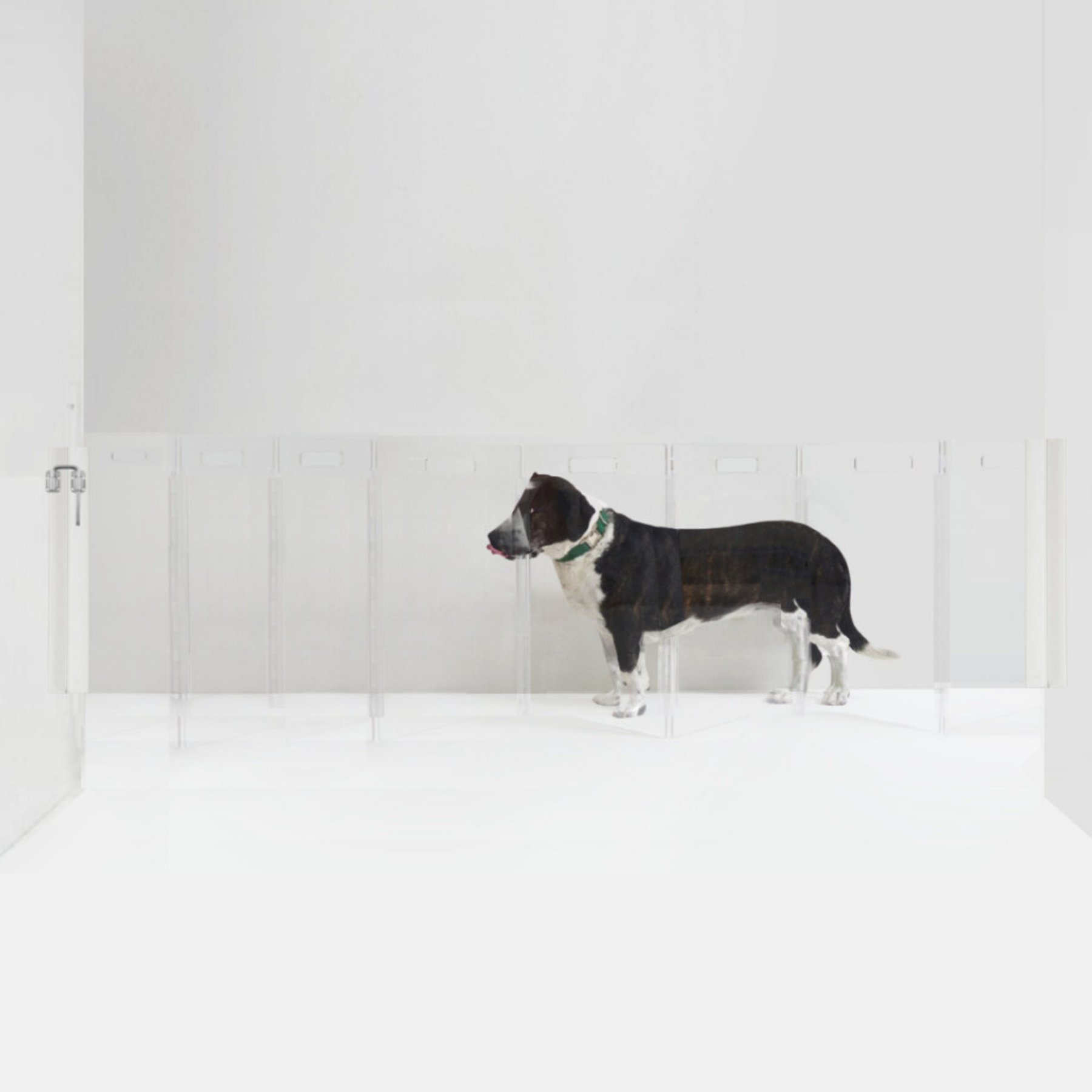 Hiddin Clear Wall Mounted Low Zig Zag Dog Gate, Silver, 8 panel