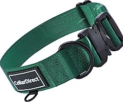 CollarDirect Double-Layered Nylon Standard Dog Collar, Green, Small: 11 to 15-in neck, 1-in wide