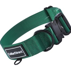 CollarDirect Double-Layered Nylon Standard Dog Collar, Green, Small: 11 to 15-in neck, 1-in wide