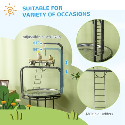 Show full view: Little Pals Bird Perch Stand slide 7 of 9