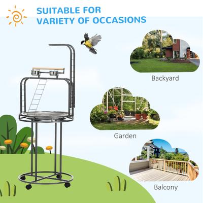 Show full view: Little Pals Bird Perch Stand slide 4 of 9