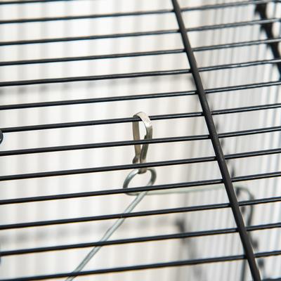 Show full view: Little Pals 45-in Metal Indoor Bird Cage with Detachable Rolling Stand slide 8 of 9