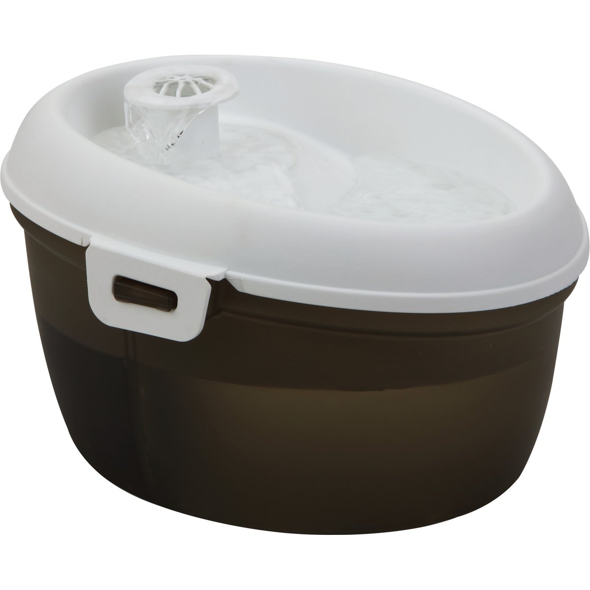 DOG H2O & CAT H2O Dental Care Cat Water Fountain, 5-cup