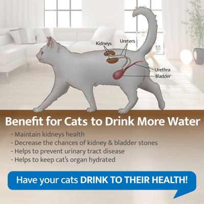 Show full view: Cat H2O Tornado Cat Water Fountain, 8.45-cup slide 3 of 10