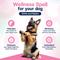 Show in main carousel: SilymarinAdvanced S-Adenosylmethionine & Silybin Tablet Liver Health Supplement for Large Dogs, 30 count slide 7 of 11