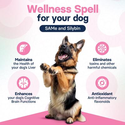 Show full view: SilymarinAdvanced S-Adenosylmethionine & Silybin Tablet Liver Health Supplement for Large Dogs, 30 count slide 7 of 11