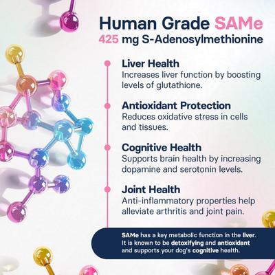 Show full view: SilymarinAdvanced S-Adenosylmethionine & Silybin Tablet Liver Health Supplement for Large Dogs, 30 count slide 6 of 11