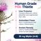 Show in main carousel: SilymarinAdvanced S-Adenosylmethionine & Silybin Tablet Liver Health Supplement for Large Dogs, 30 count slide 5 of 11