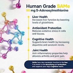 SilymarinAdvanced S-Adenosylmethionine & Silybin Tablet Liver Health Supplement for Small Dogs, 30 count slide 2 of 9