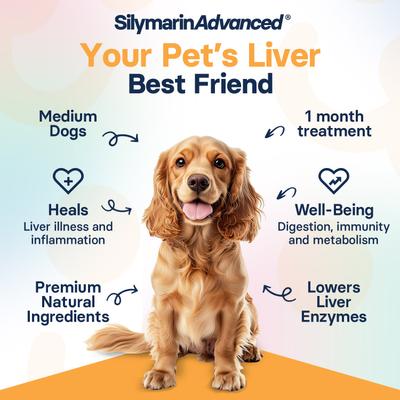 Show full view: SilymarinAdvanced S-Adenosylmethionine & Silybin Tablet Liver Health Supplement for Medium Dogs, 30 count slide 4 of 10