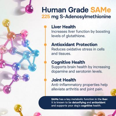 Show full view: SilymarinAdvanced S-Adenosylmethionine & Silybin Tablet Liver Health Supplement for Medium Dogs, 30 count slide 6 of 10