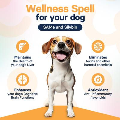 Show full view: SilymarinAdvanced S-Adenosylmethionine & Silybin Tablet Liver Health Supplement for Medium Dogs, 30 count slide 7 of 10