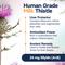 Show in main carousel: SilymarinAdvanced S-Adenosylmethionine & Silybin Tablet Liver Health Supplement for Medium Dogs, 30 count slide 5 of 10