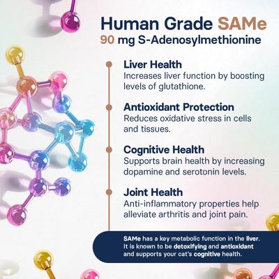 Show full view: SilymarinAdvanced S-Adenosylmethionine & Silybin Tablet Liver Health Supplement for Cats, 30 count slide 6 of 10