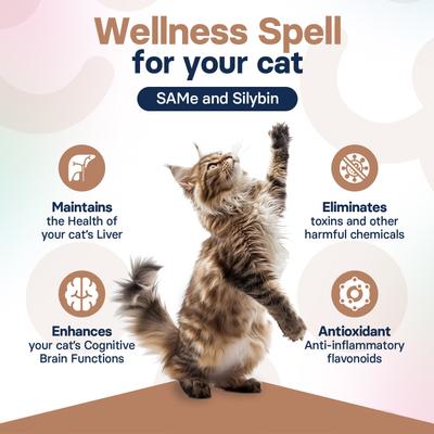 Show full view: SilymarinAdvanced S-Adenosylmethionine & Silybin Tablet Liver Health Supplement for Cats, 30 count slide 7 of 10