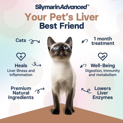 Show full view: SilymarinAdvanced S-Adenosylmethionine & Silybin Tablet Liver Health Supplement for Cats, 30 count slide 4 of 10