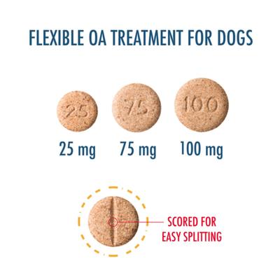Show full view: Carprieve (Carprofen) Chewable Tablets, 100mg, 90 chewable tablets slide 3 of 5