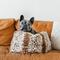 Show in main carousel: P.L.A.Y. Pet Lifestyle and You Snuggle Dog Bed, Leopard Brown, X-Large slide 8 of 9