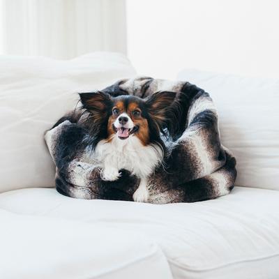 Show full view: P.L.A.Y. Pet Lifestyle and You Snuggle Dog Bed, Graphite Black, X-Large slide 8 of 8