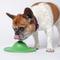 Show in main carousel: Stashios Soothing Saucer Dog Toy, Green slide 6 of 8
